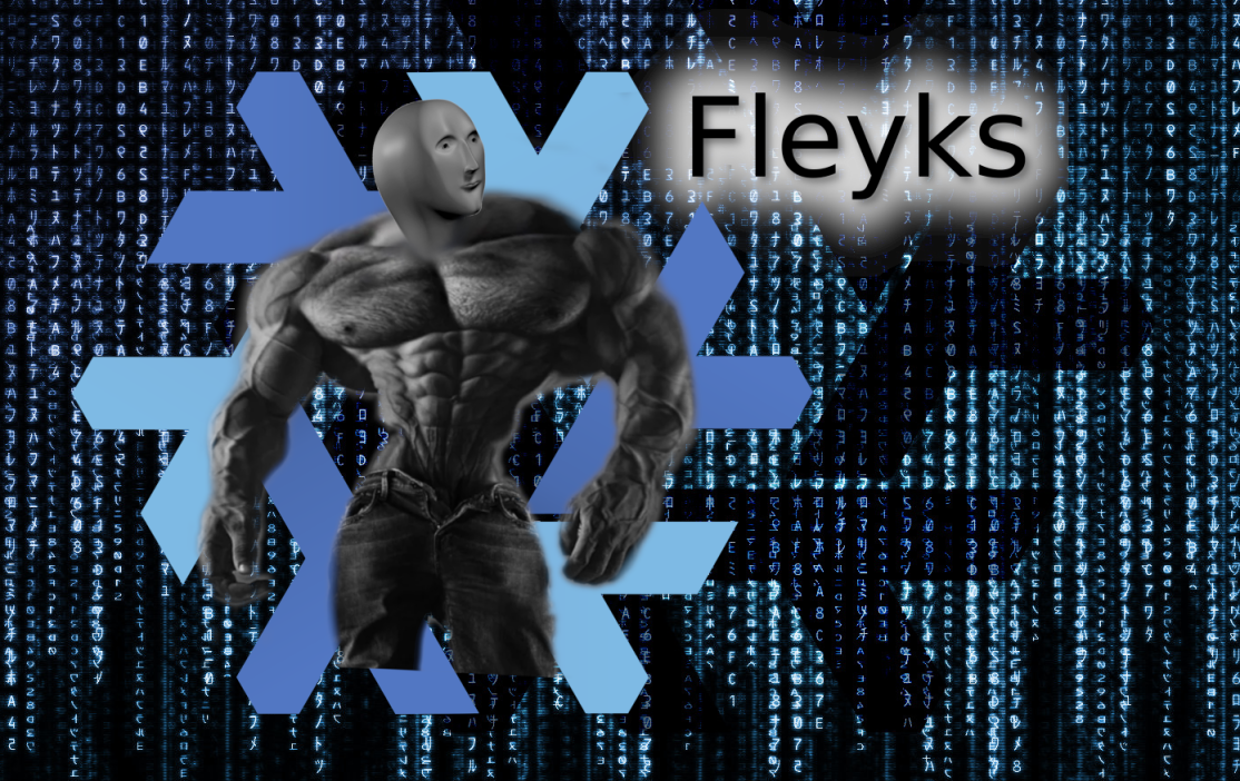 fleyks.png